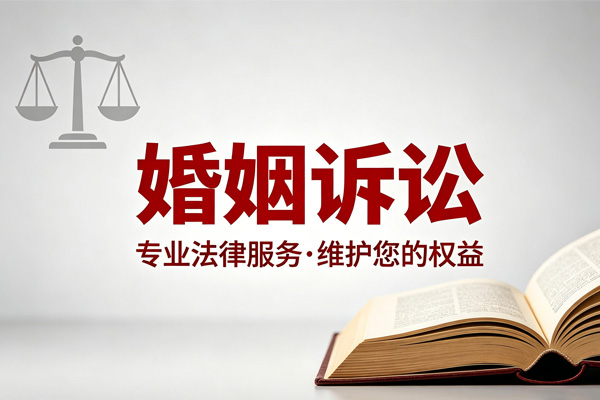 婚姻诉讼
